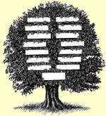 Family Tree